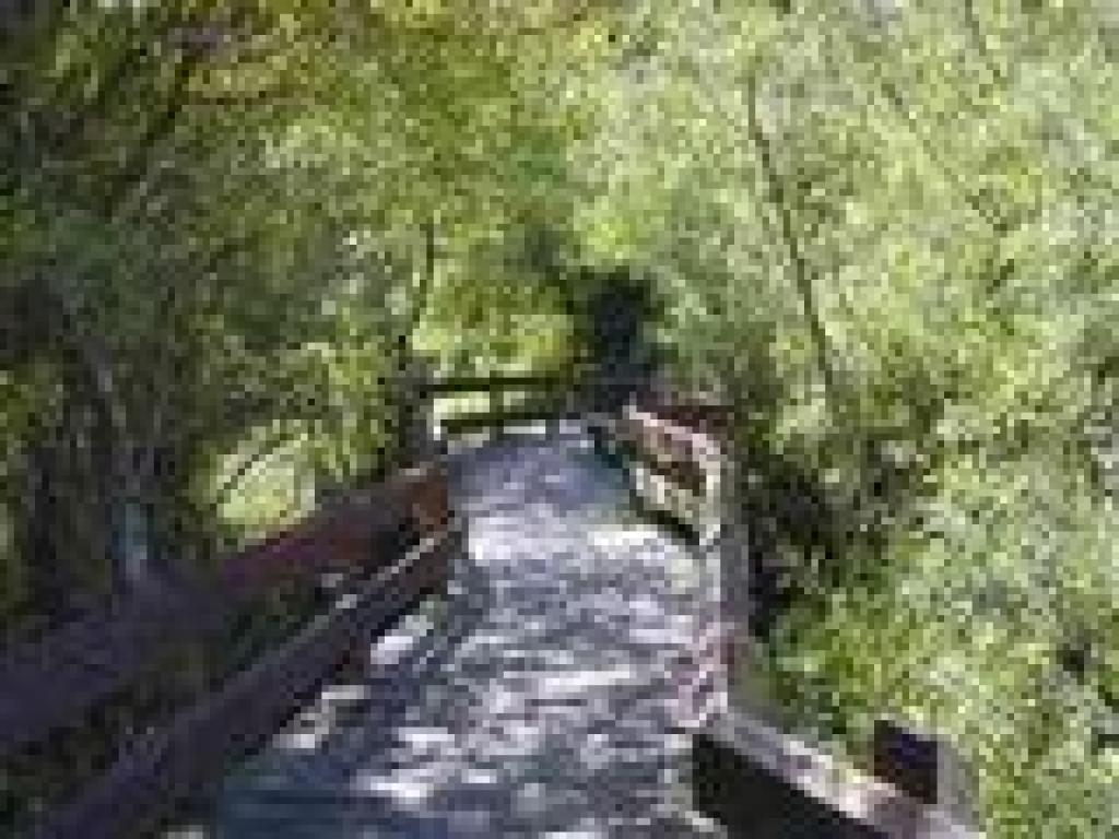 Elevated walkway