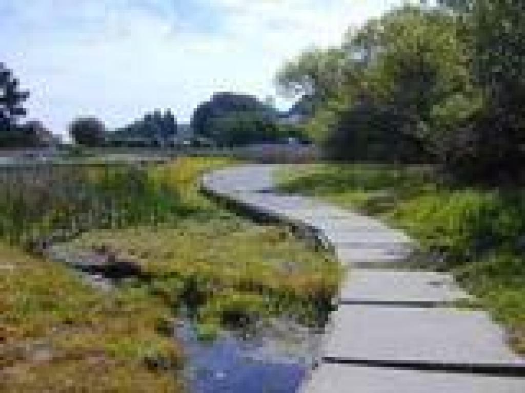 Around pond