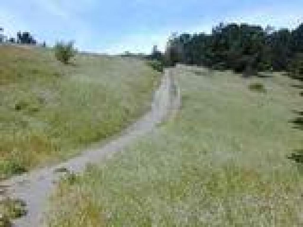 Grassland