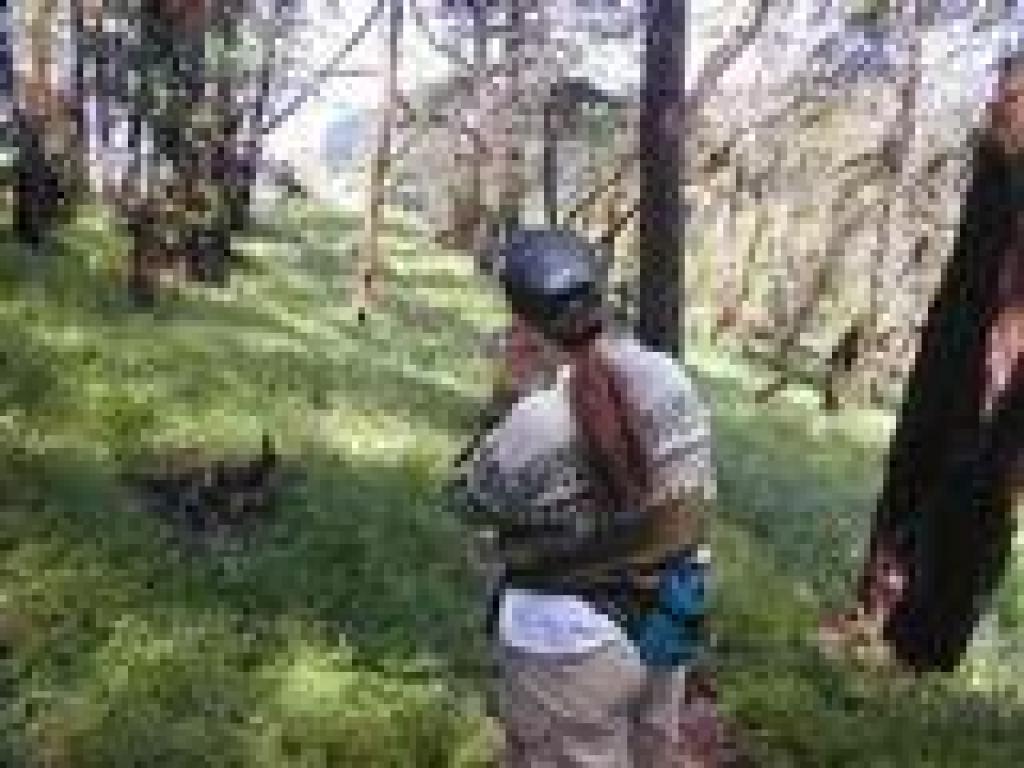 In the woods