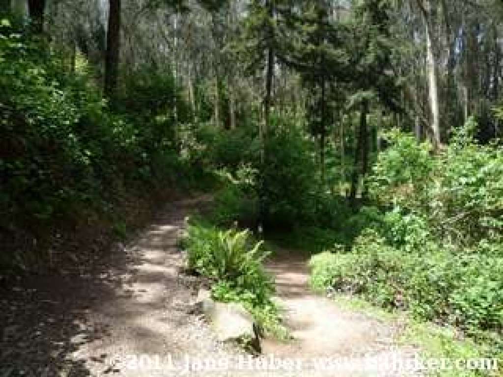 Fairy Gates Trail