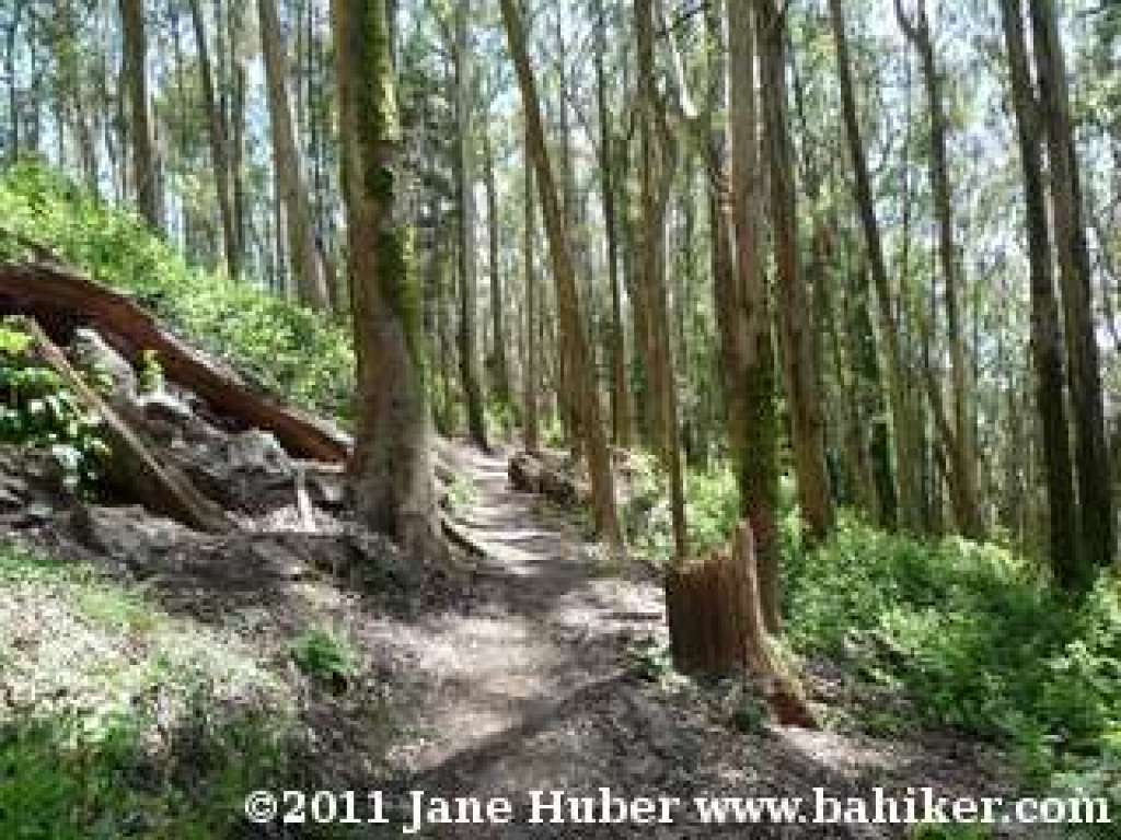 Historic Trail
