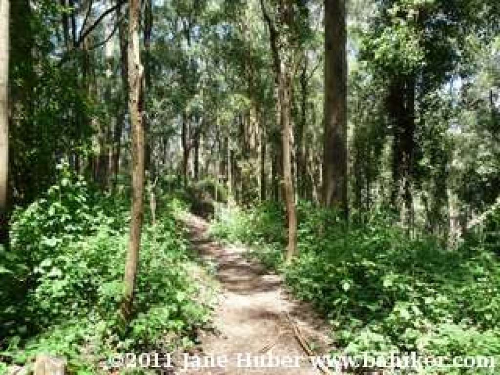 North Ridge Trail