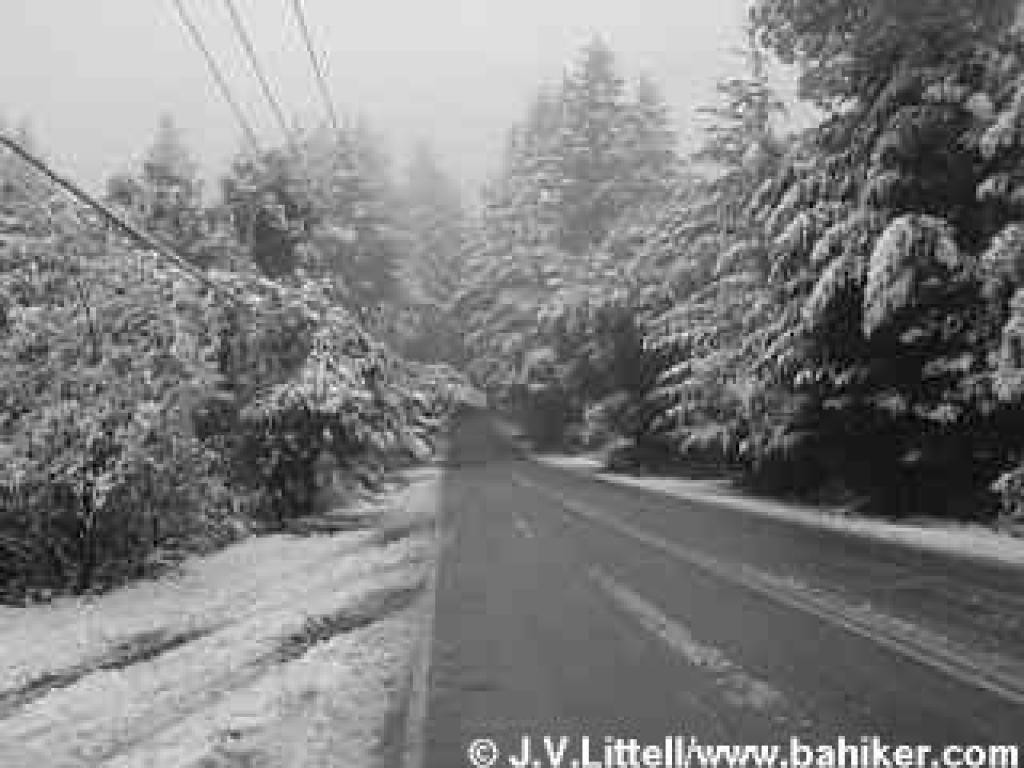 Skyline Boulevard at El Corte de Madera