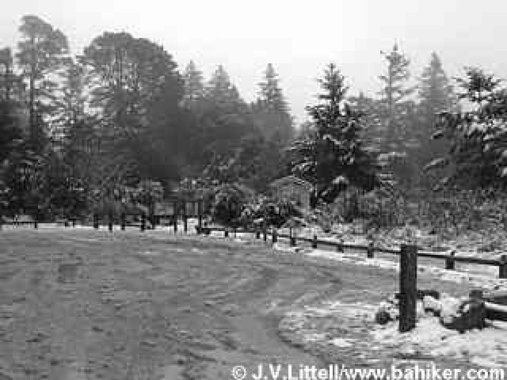Purisima Creek Trailhead
