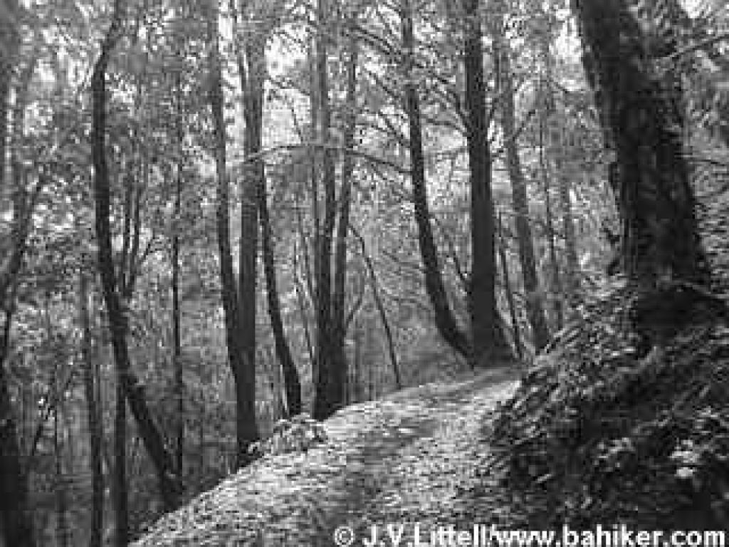 Sierra Morena Trail