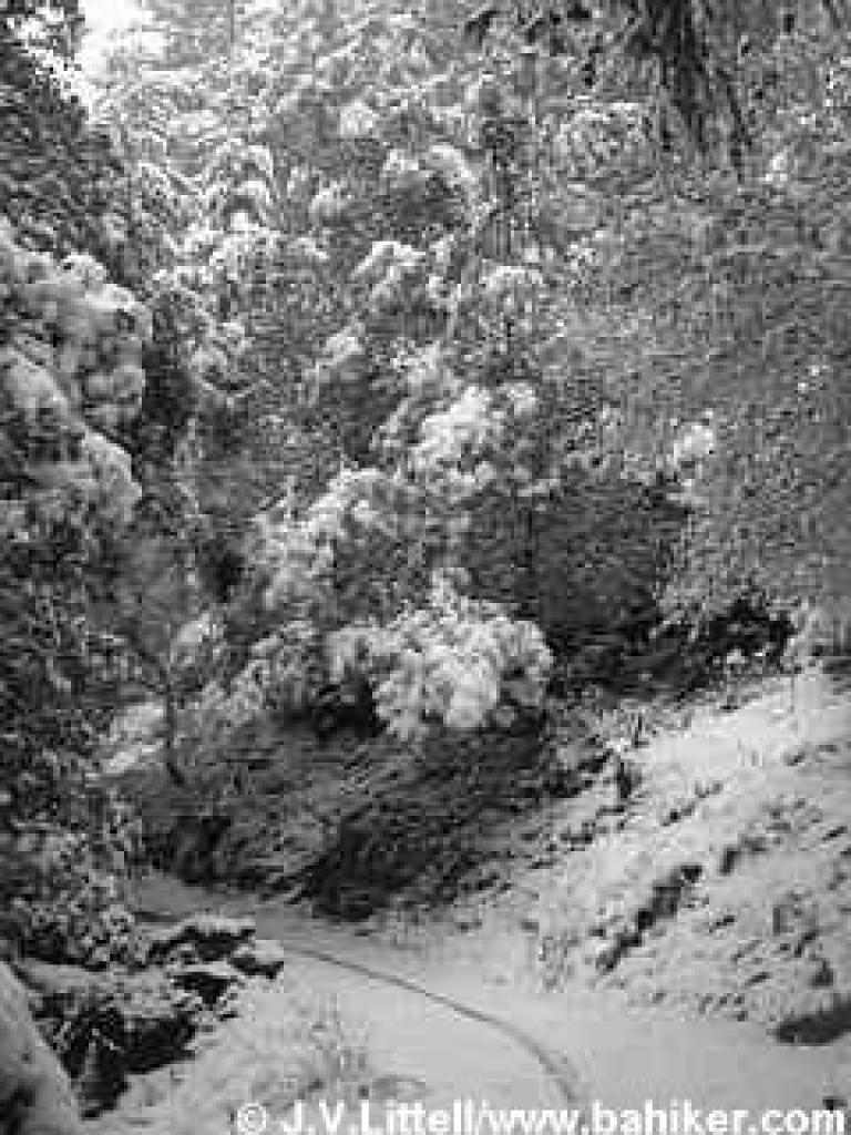 Sierra Morena Trail