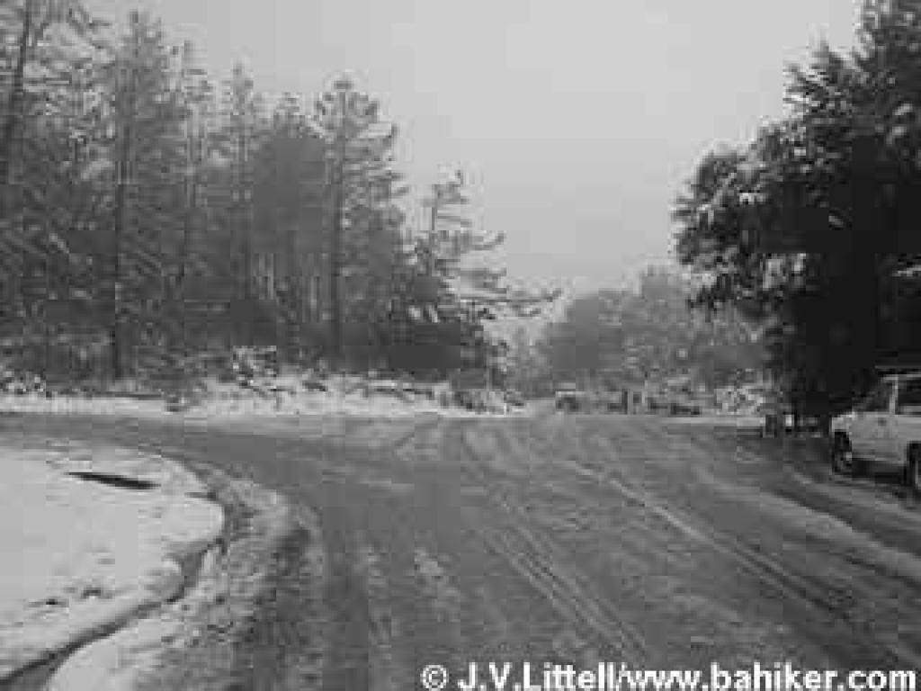 At the junction with Page Mill Road