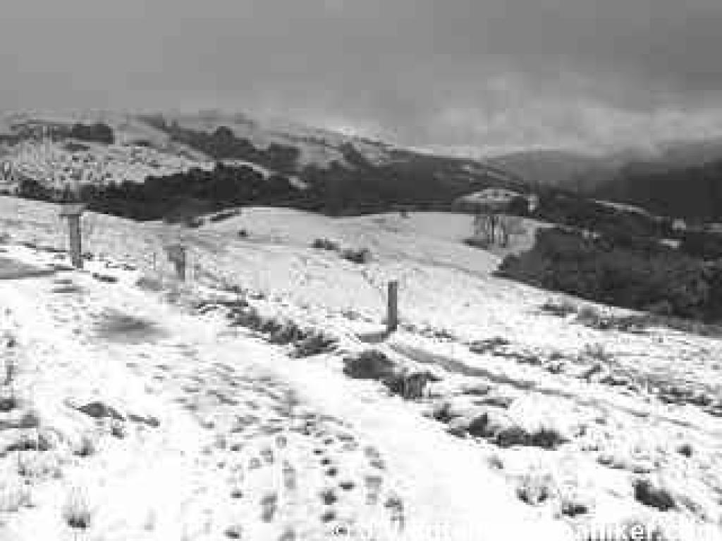 Monte Bello