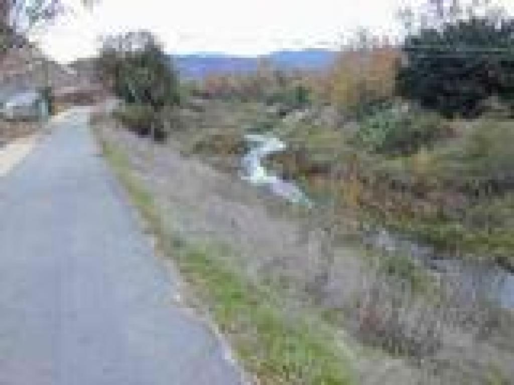Los Alamitos Creek Trail