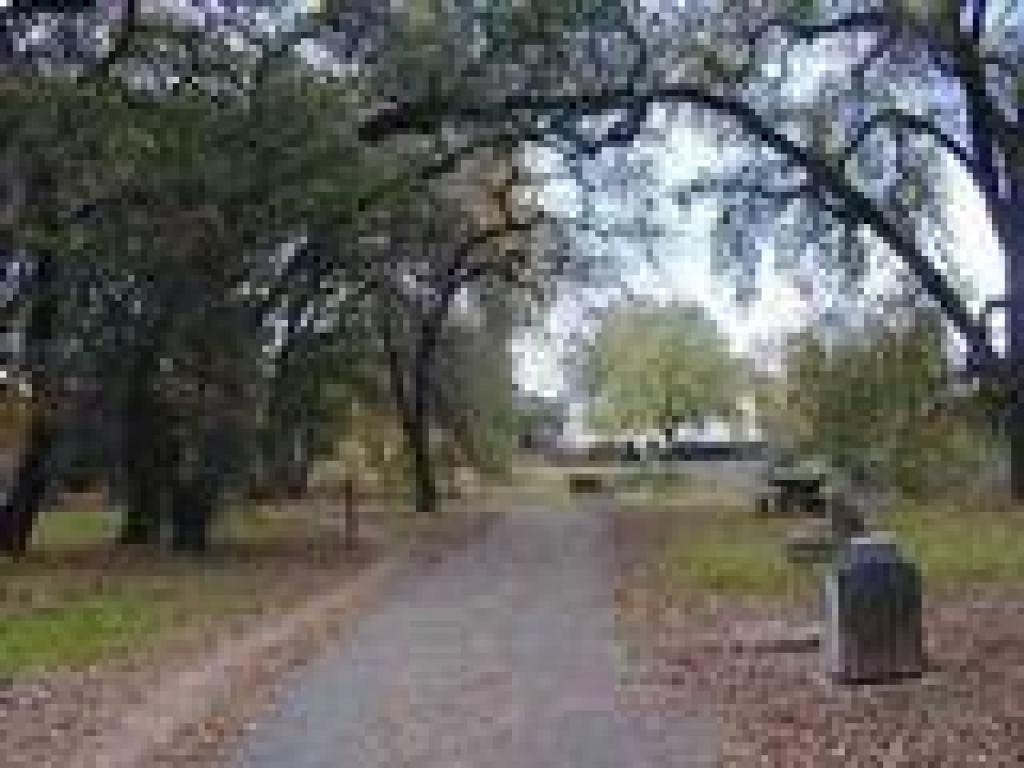 Picnic area