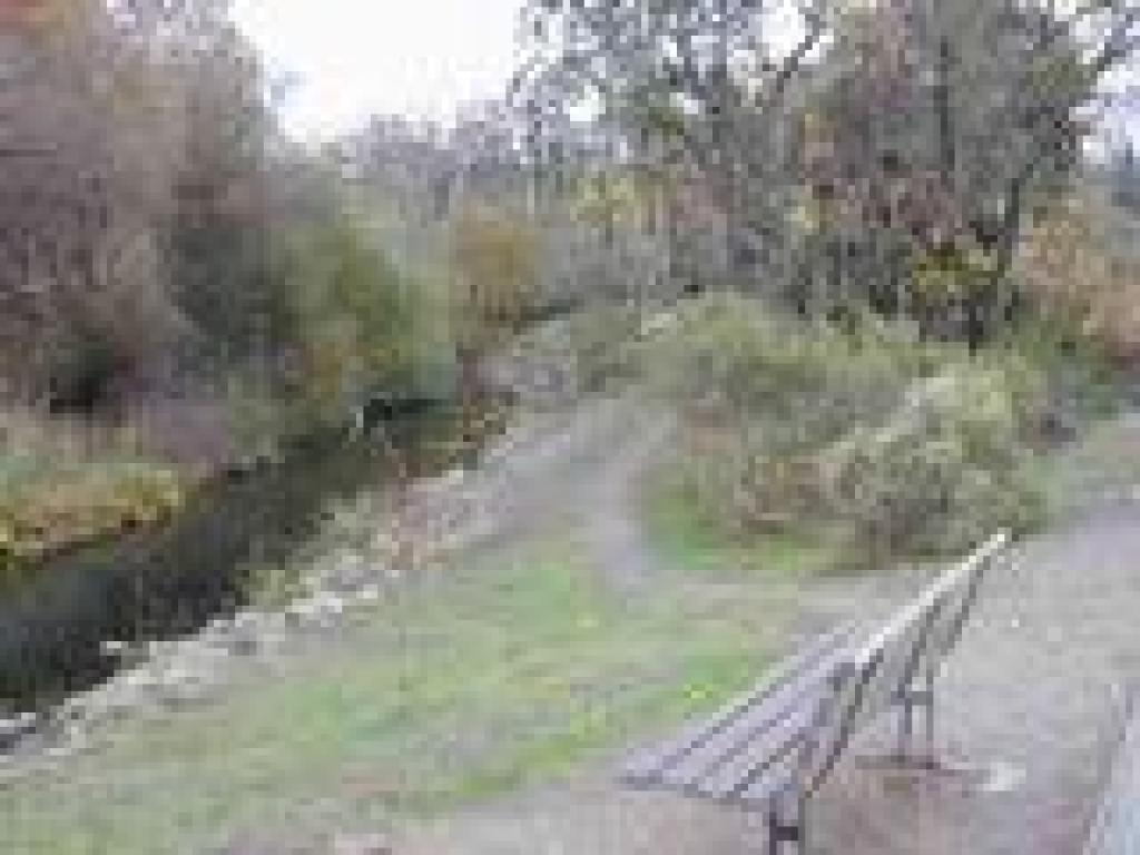 Bench and view of the creek