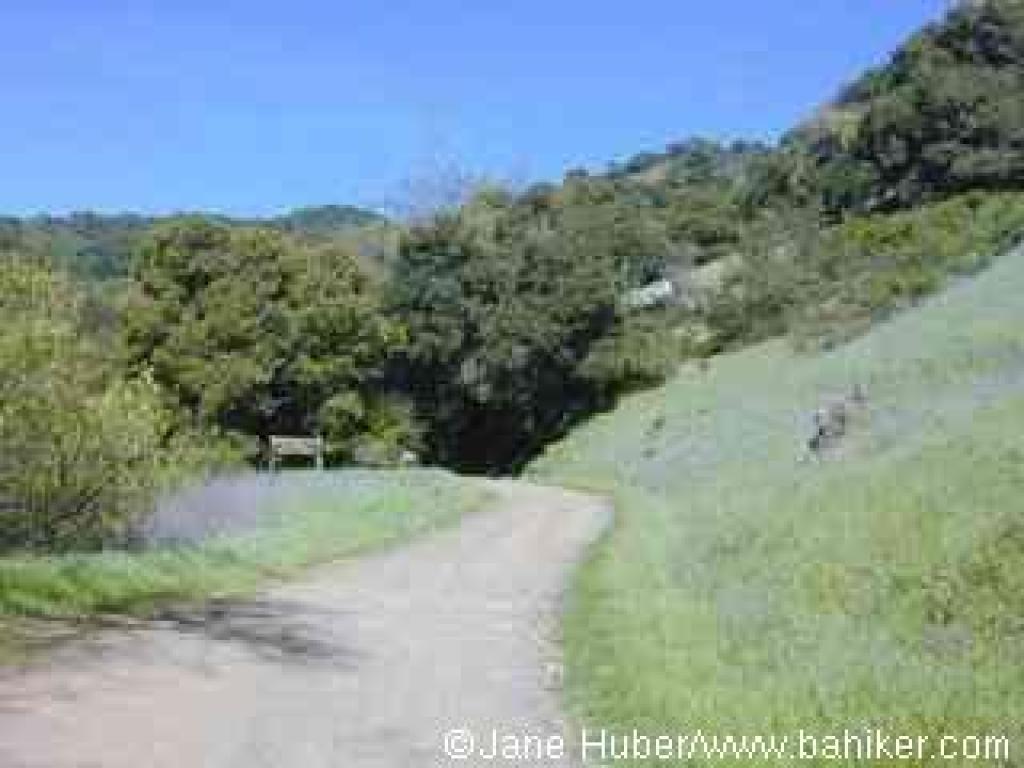Mine Hill Trail