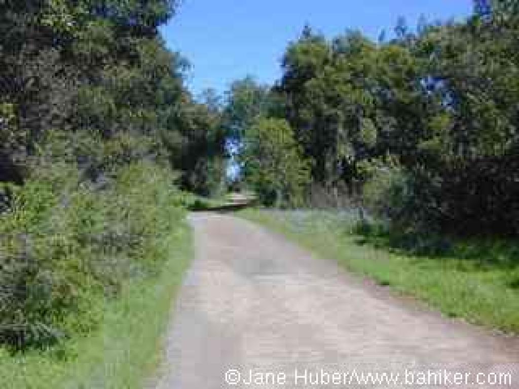 Randol Trail