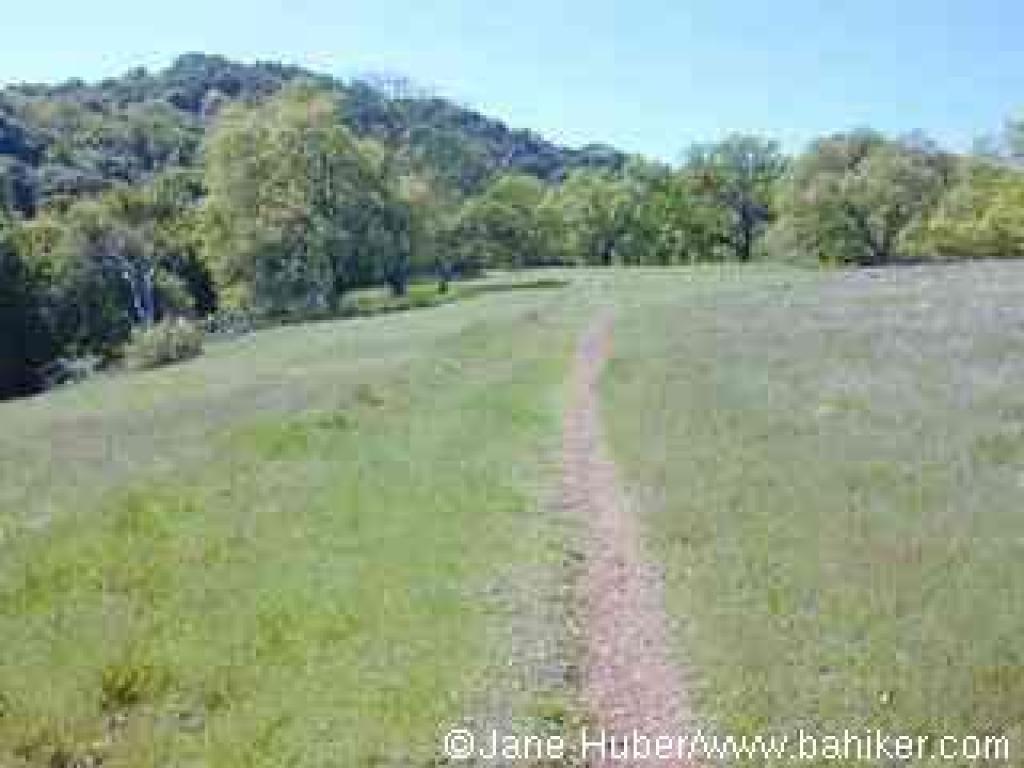 Prospect #3 Trail
