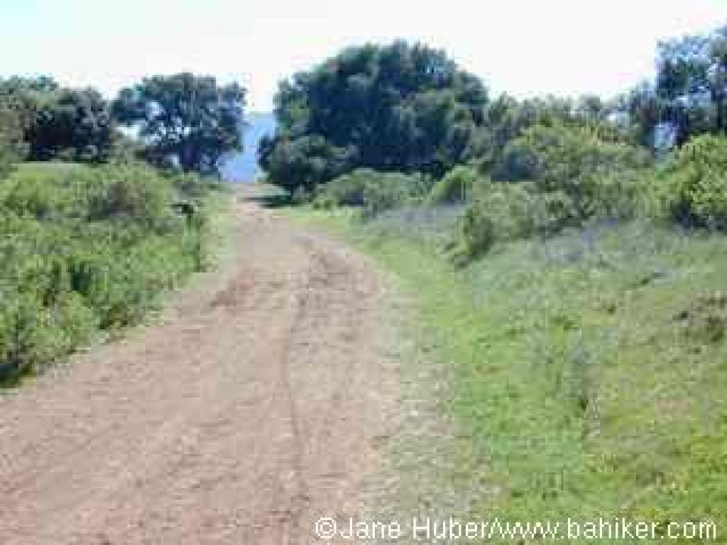 Near Bull Run, on Mine Hill Trail
