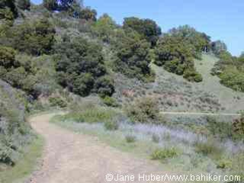 English Camp Trail