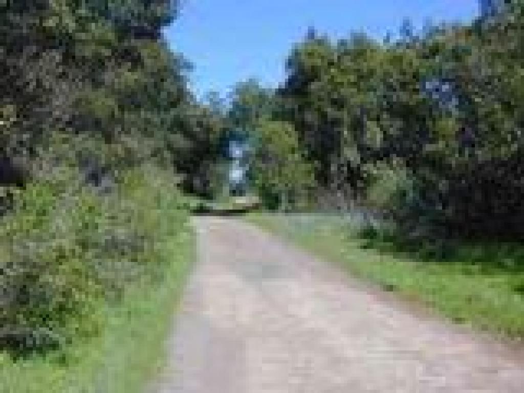 Randol Trail