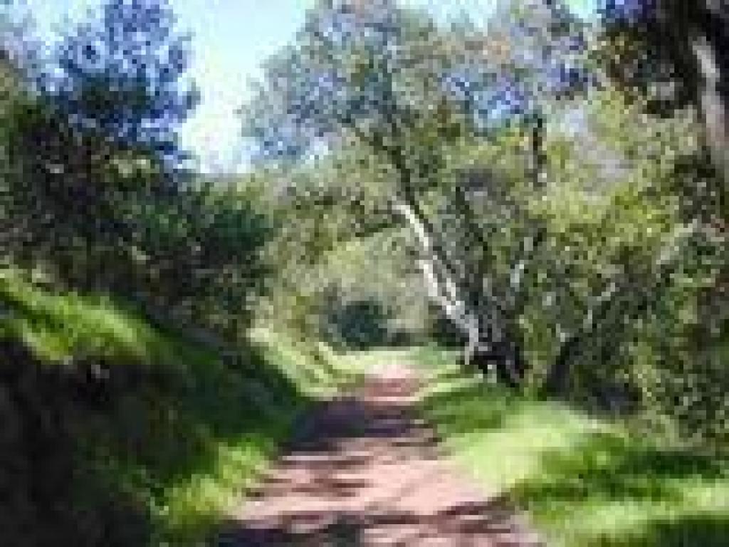 Randol Trail