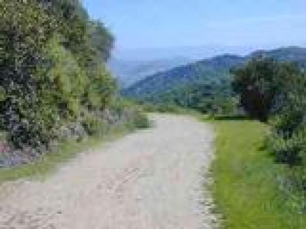 Randol Trail
