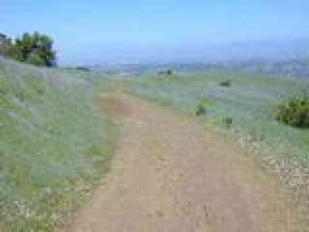Grassland