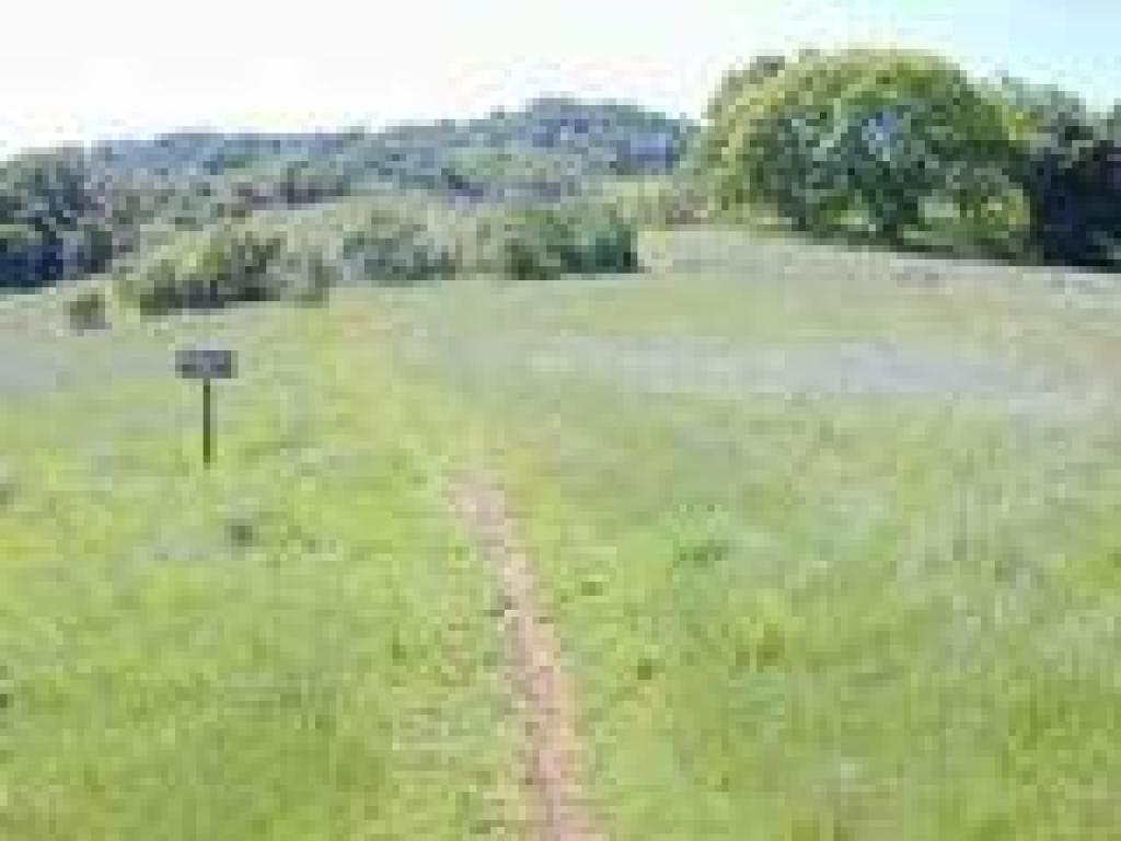 Prospect #3 Trail
