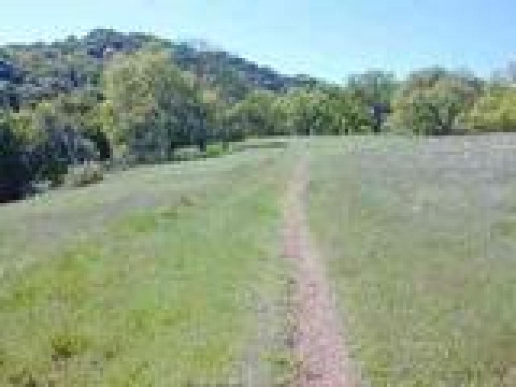 Ascending through black and clue oaks