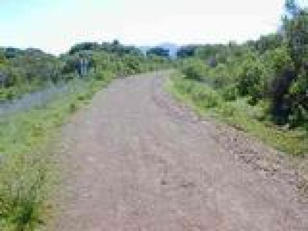 Mine Hill Trail