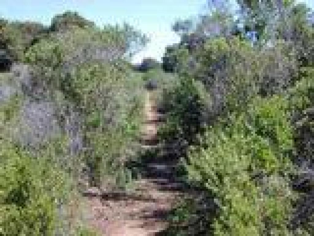 Catherine Tunnel Trail