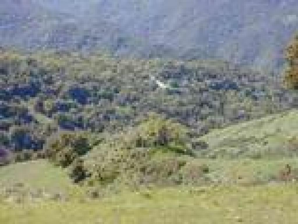 View downhill to the west