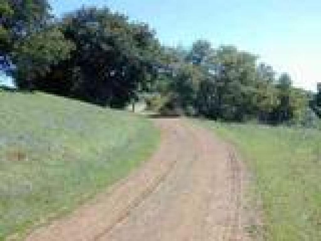 Castillero Trail
