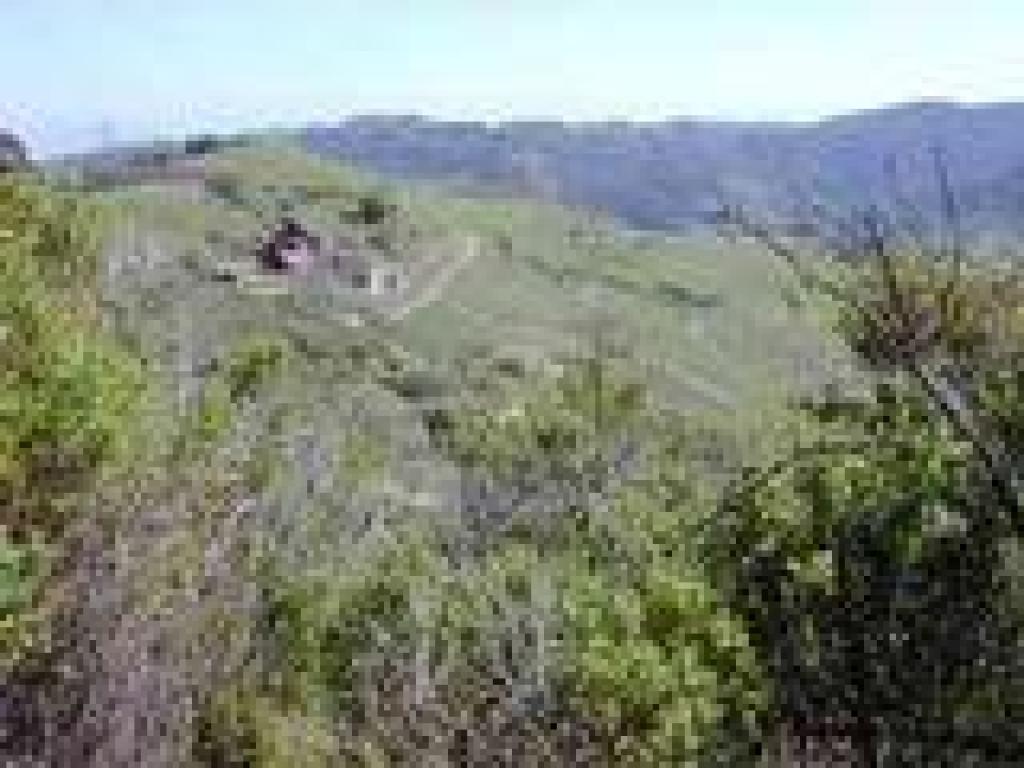 Old mine