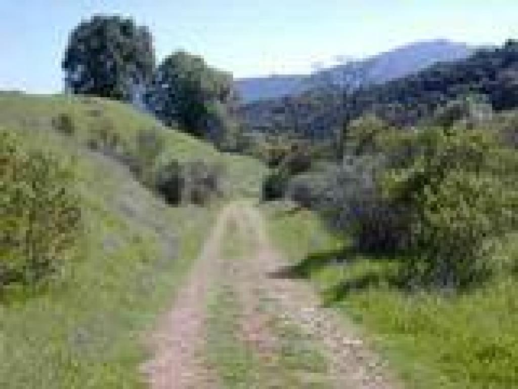 English Camp Trail