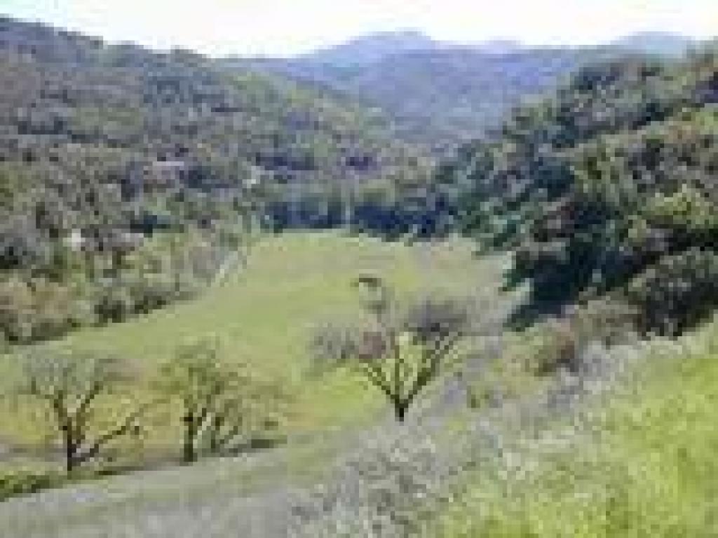 View on the return