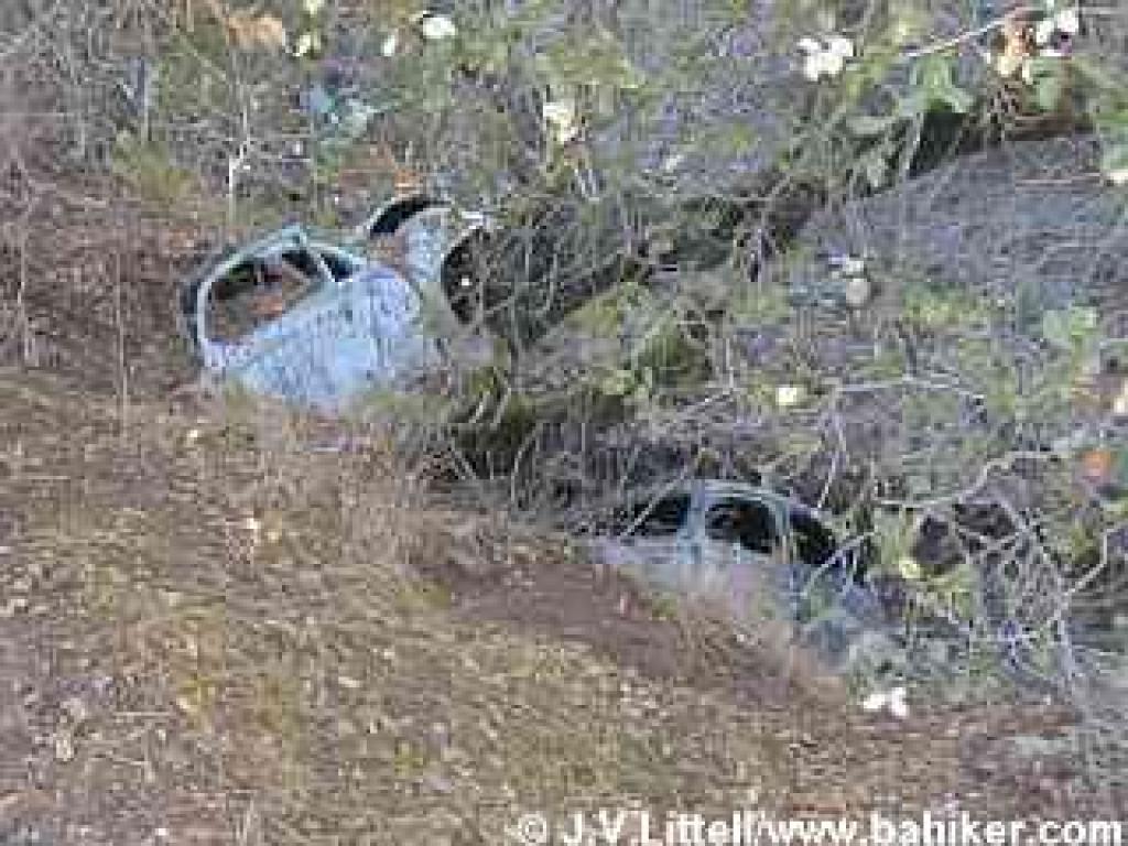 Old crashed cars at Almaden Quicksilver