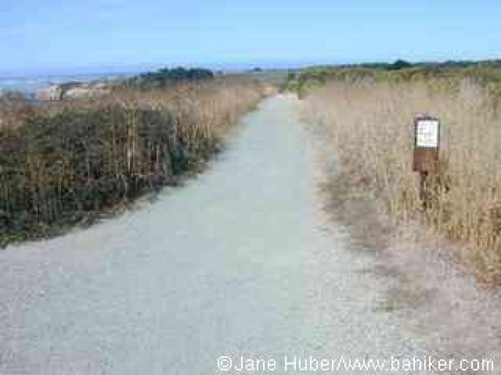 Ano Nuevo Point Trail
