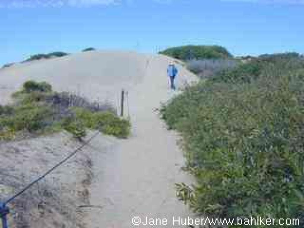 Ascending a sand dune