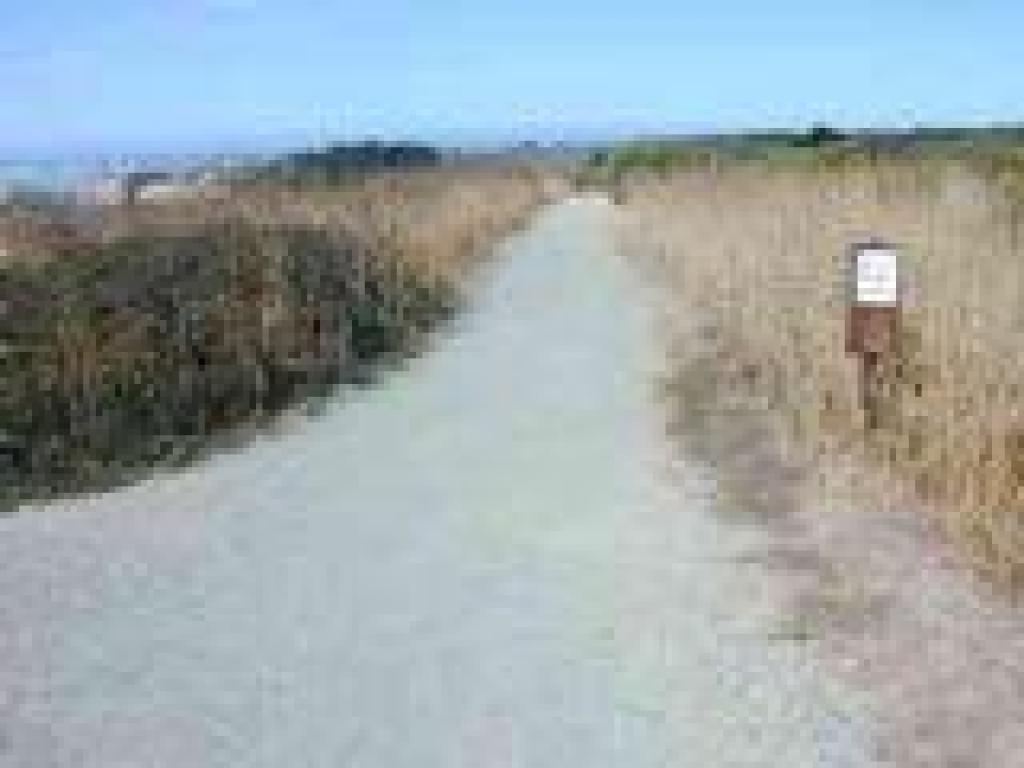 Ano Nuevo Point Trail