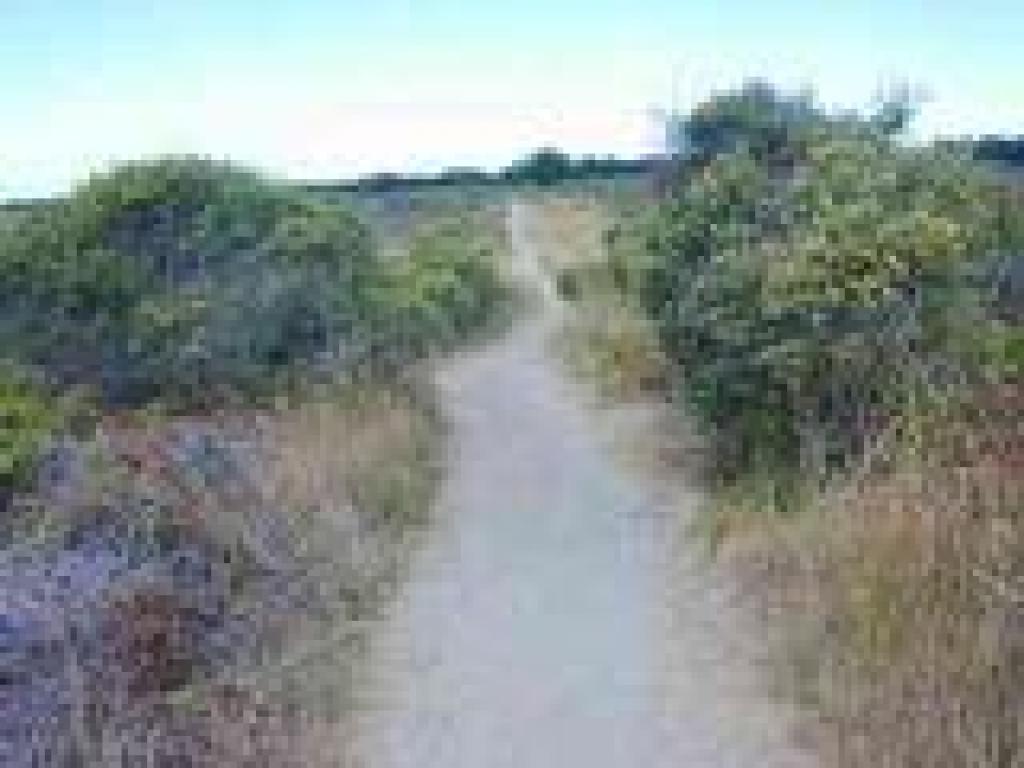 Ano Nuevo Point Trail