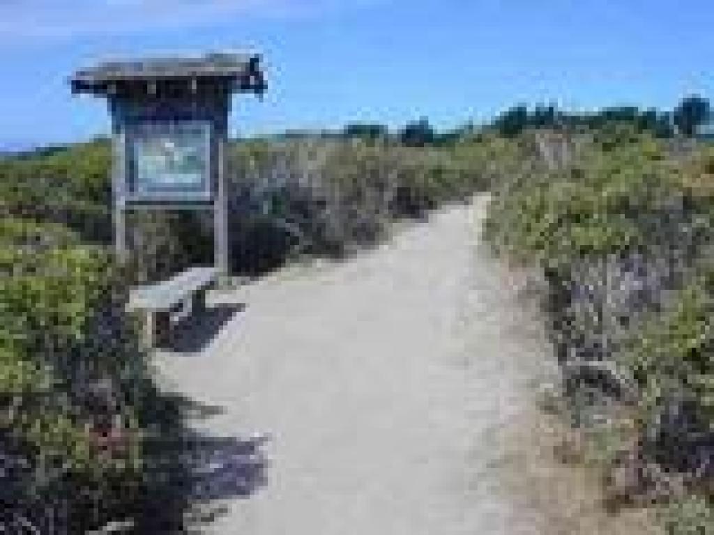 Interpretive display along the trail