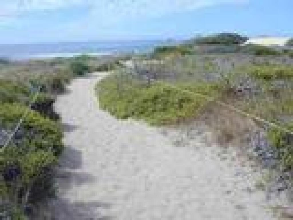 Trail ropes keep visitors on the trail