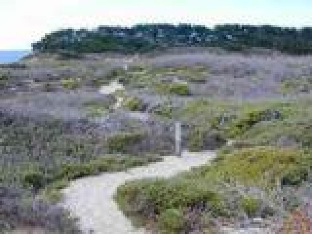 Last stretch of trail