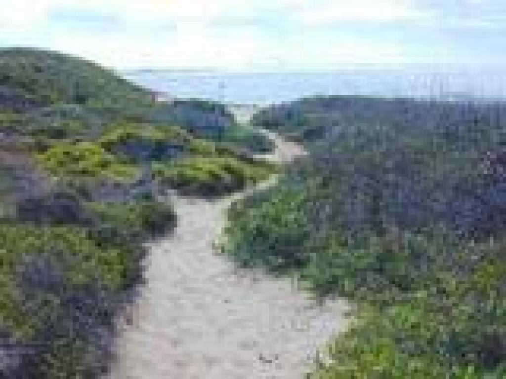 Approaching viewpoint