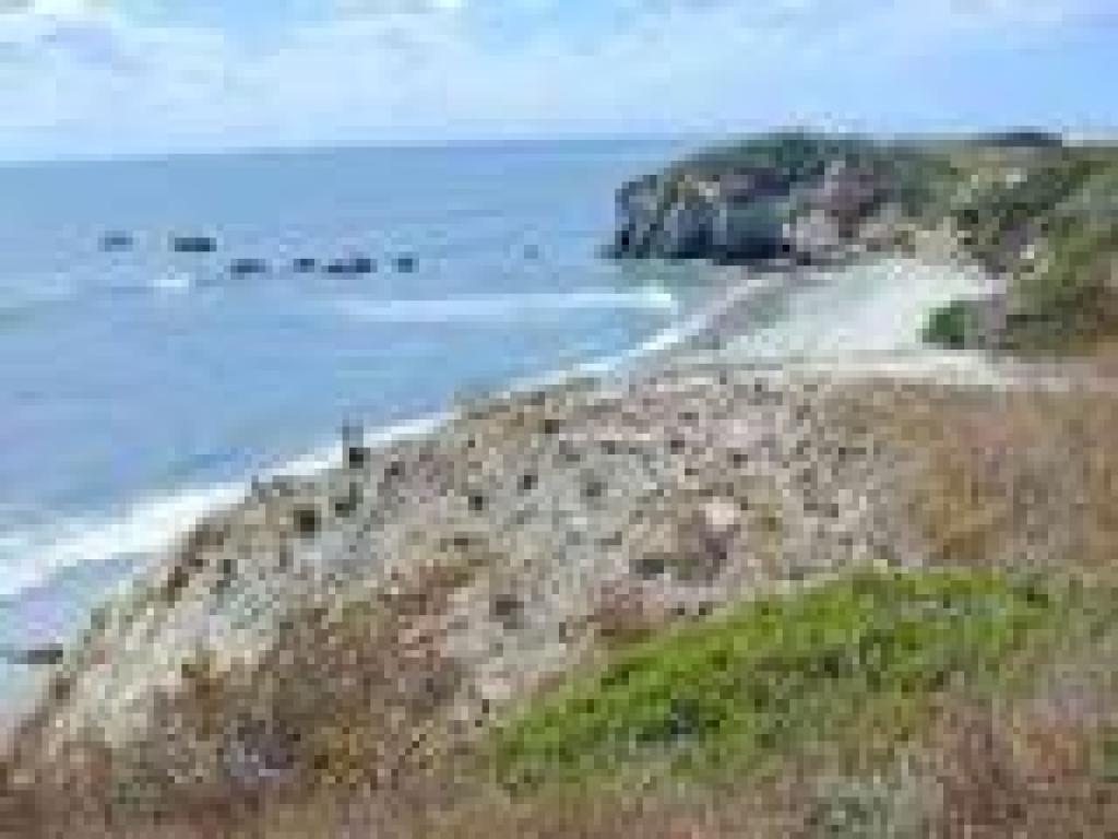 View of the coastline