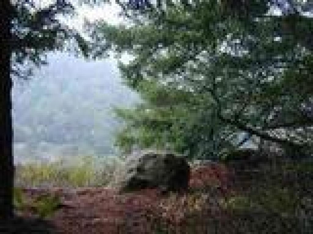 Viewpoint