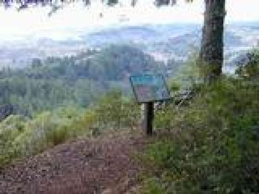 Vista point