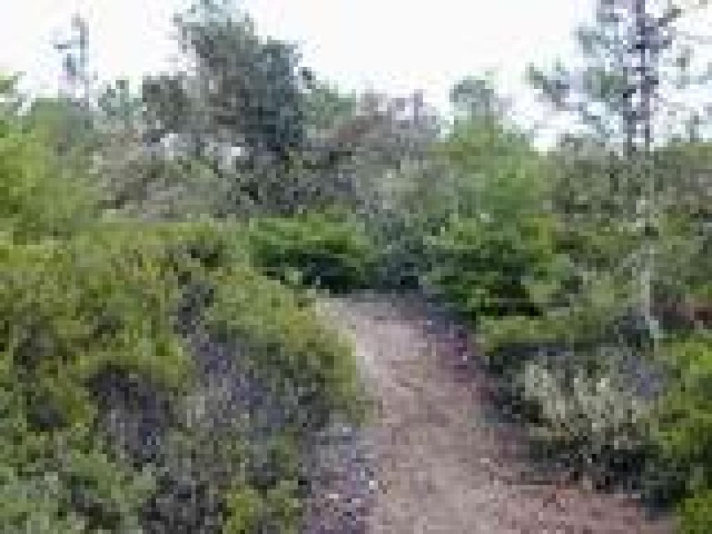 Emerging onto the ridgetop