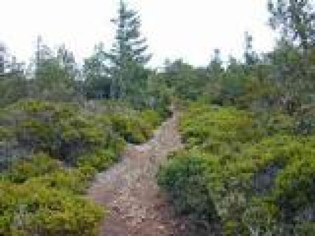 Short ascent