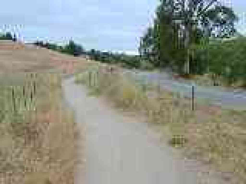Along the road