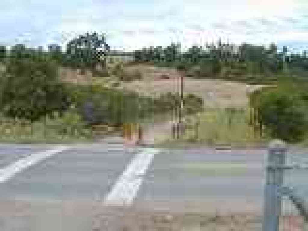Crossing the road